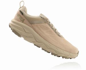 Hoka One One Men's Challenger Low GORE-TEX Trail Shoes Beige Canada Sale [LXAFS-5791]